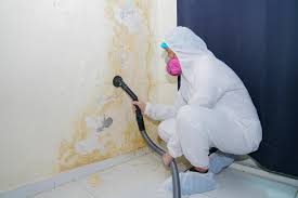 Why You Should Choose Our Mold Remediation Services in Passaic, NJ